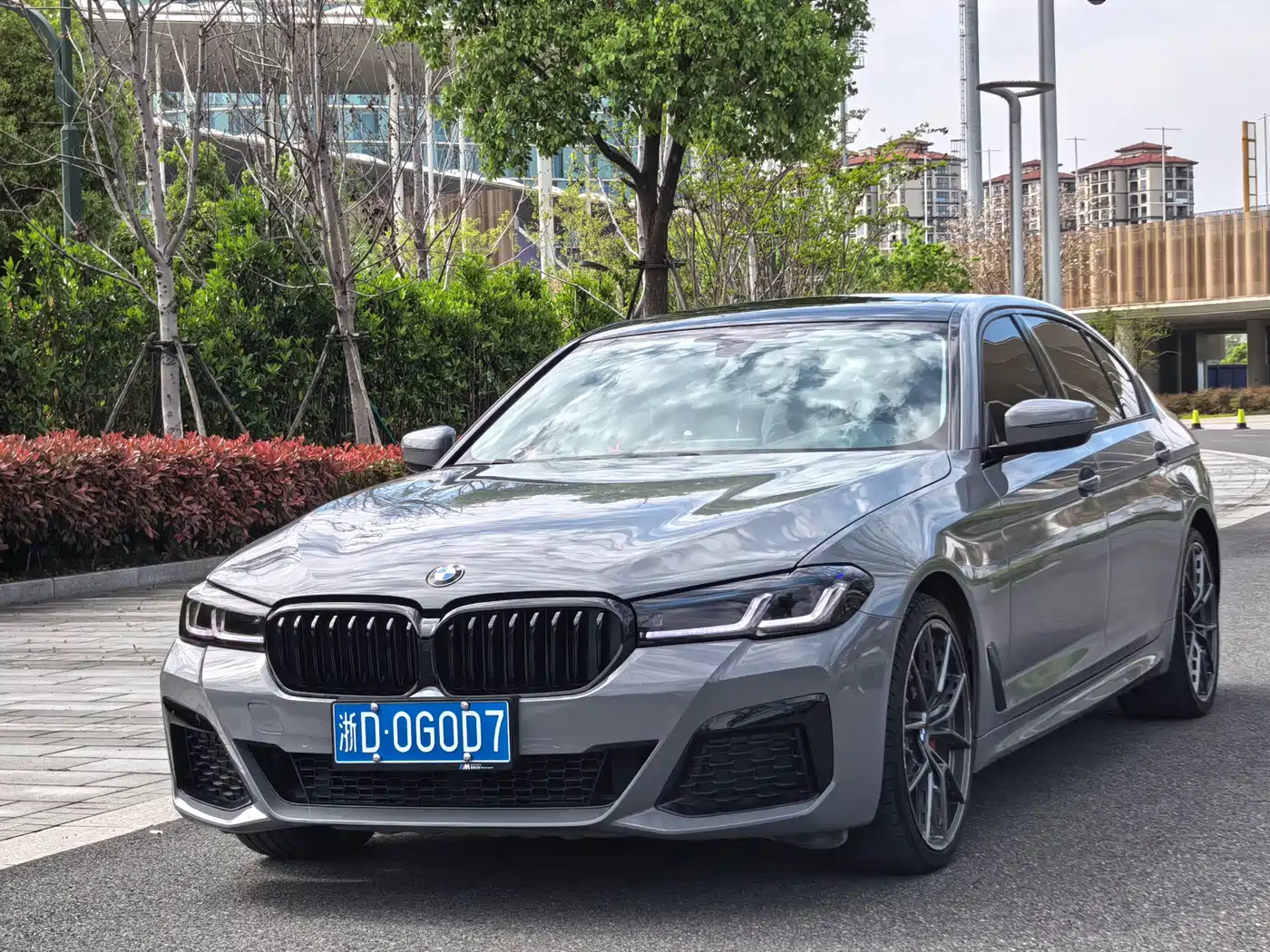 BMW 5 Series 2019 530Li Leading Luxury Package