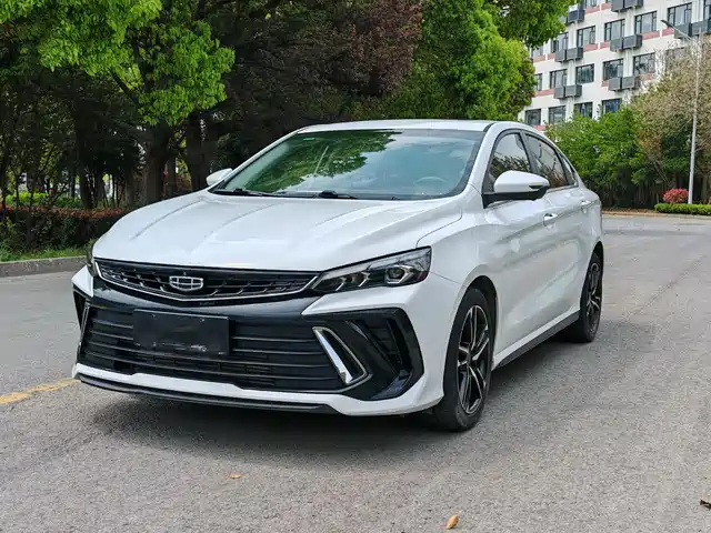 GEELY AUTOMOBILE BINRUI