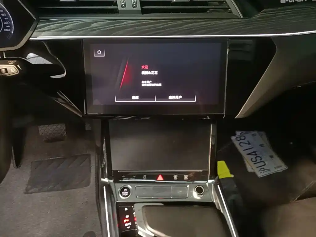 Audi e-tron 2024 2021 50 quattro Exclusive Selection