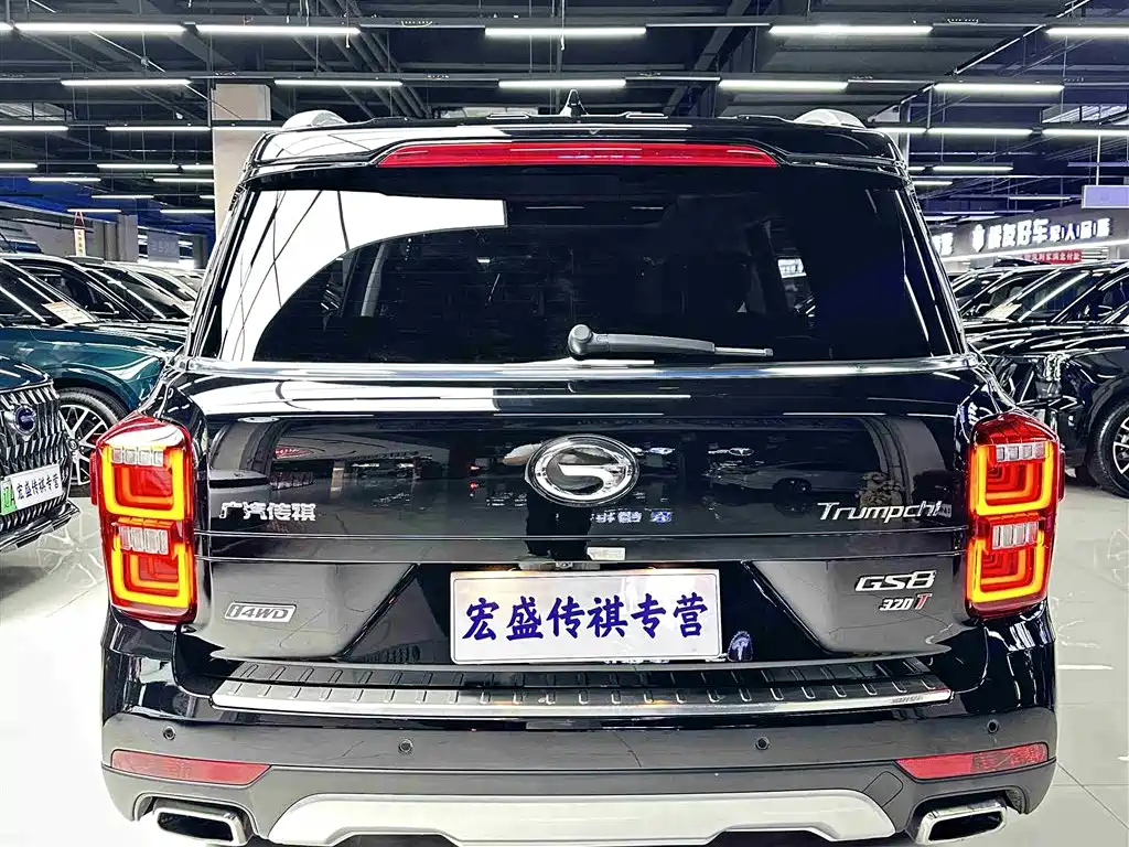 GAC Trumpchi Trumpchi GS8 2017 320T AWD Luxury Smart Connect (7-Seater) фото 34