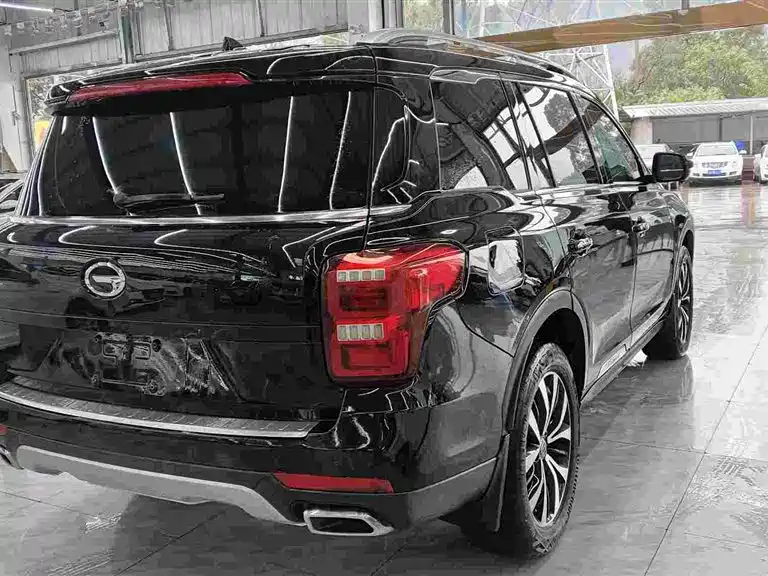 GAC Trumpchi Trumpchi GS8 2017 320T 2WD Luxury Smart Connect (7-seater) фото 6