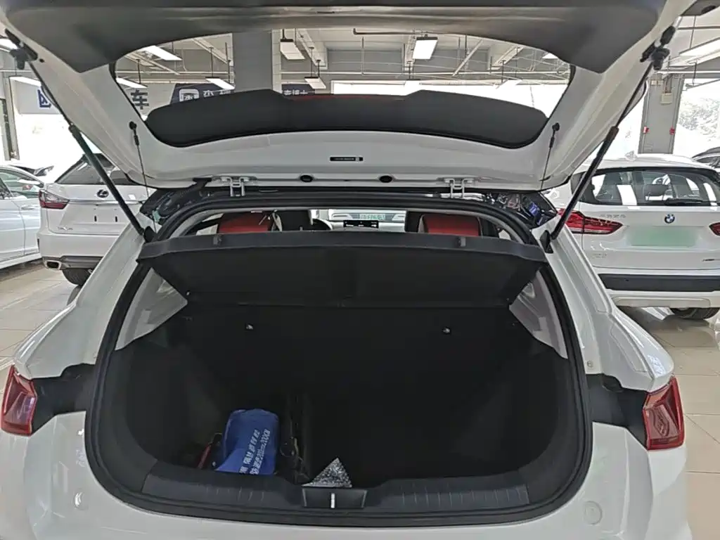 BYD e2 2021 2021 Premium Model