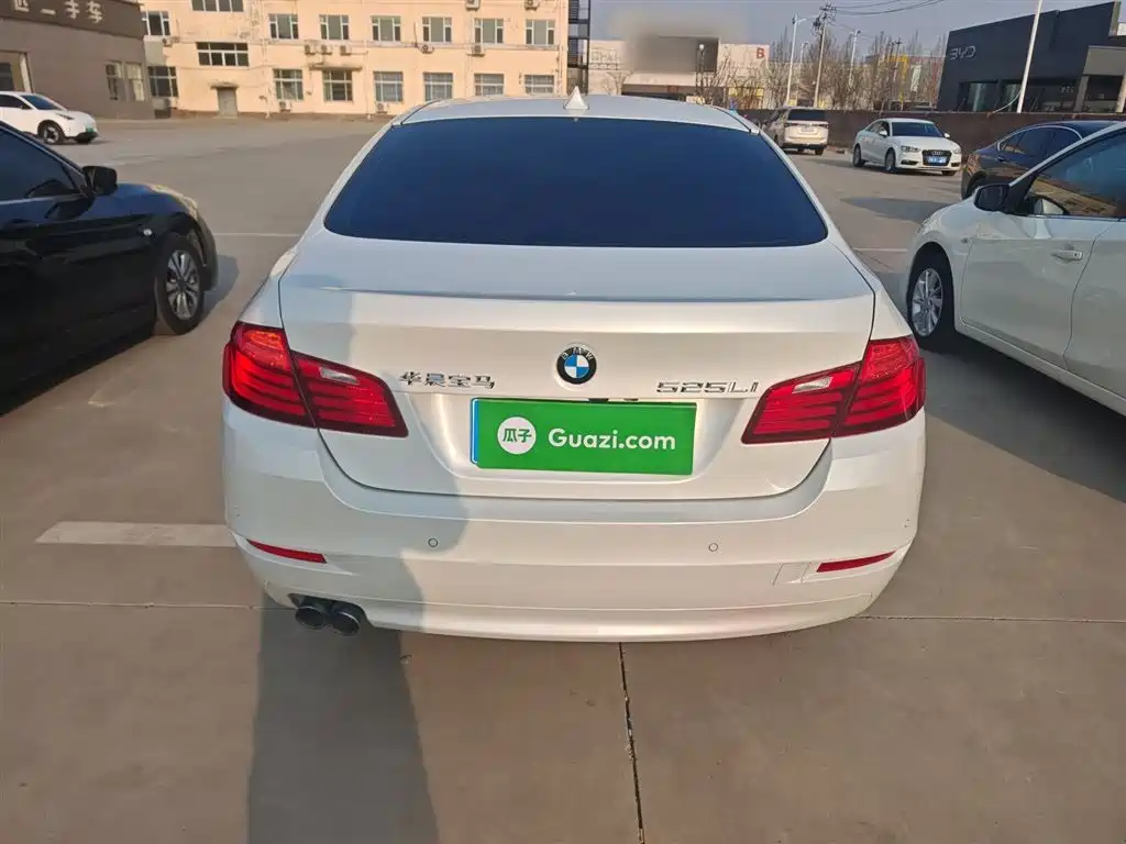 BMW 5 Series 2014 520Li Elegance фото 6