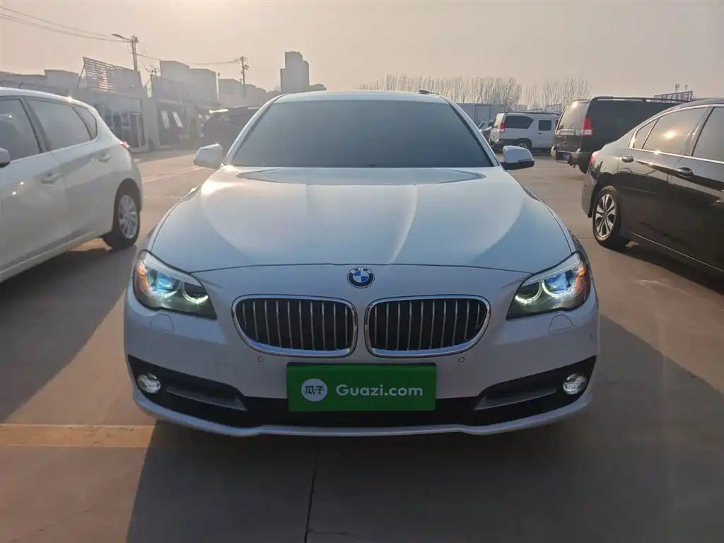 BMW 5 Series 2014 520Li Elegance фото 3