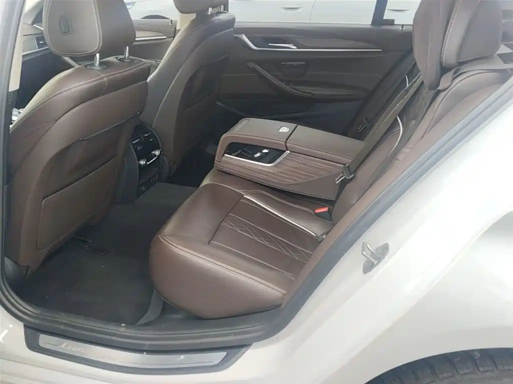BMW 5 Series 2020 530Li xDrive Luxury Package фото 24