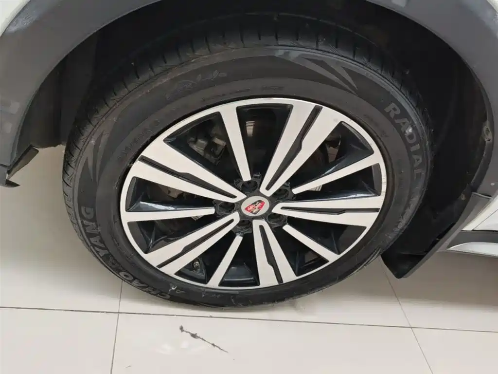 Фото 23 - Roewe RX5