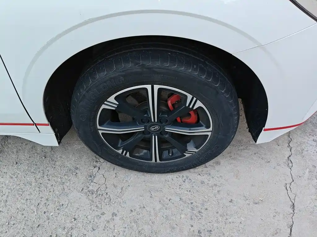BYD e2 2020 2019 Standard Range Intelligent Comfort