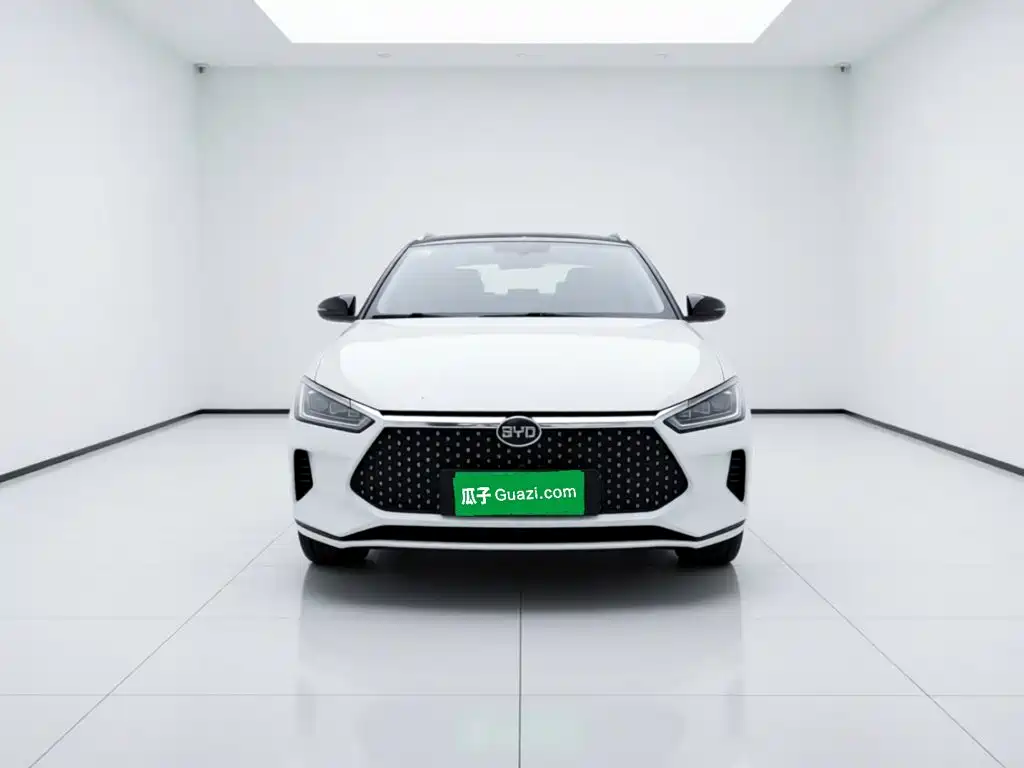 BYD e2 2020 2019 Standard Range Intelligent Comfort