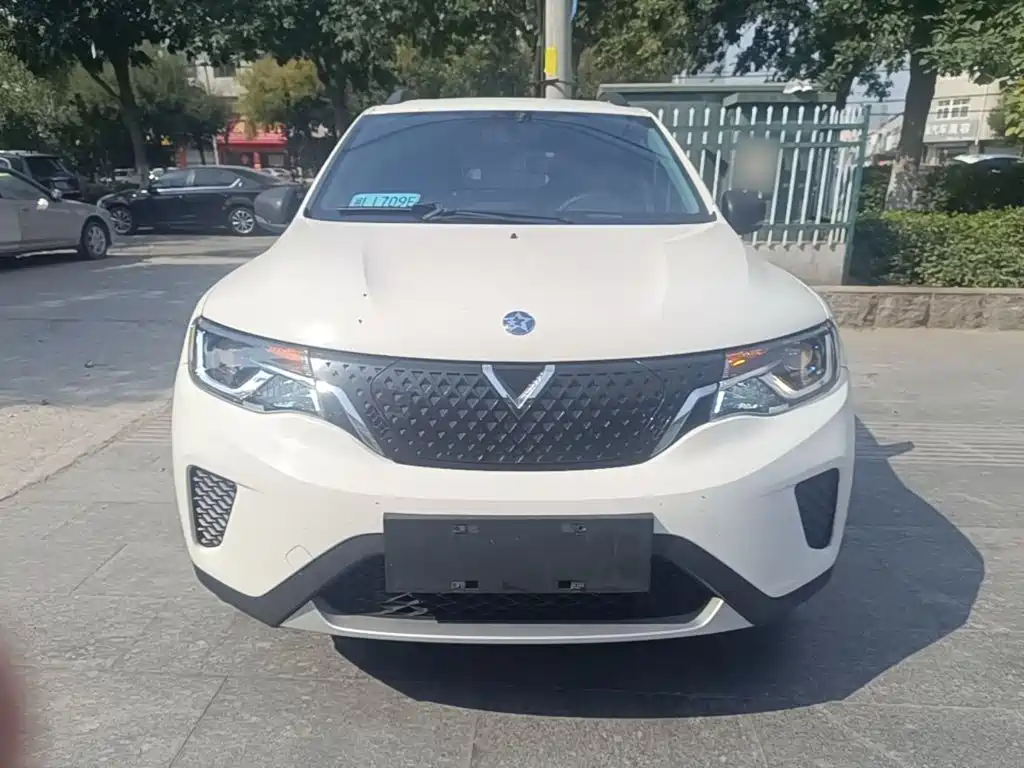 Venucia e30 2022 2021 Elite Edition