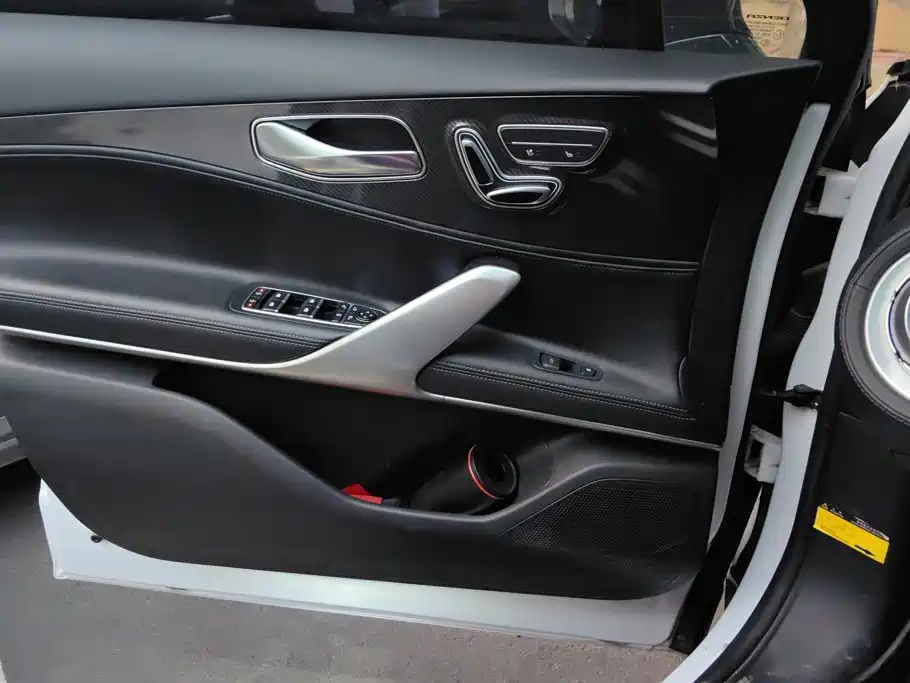 Denza X 2020 2020 PHEV Sport Edition