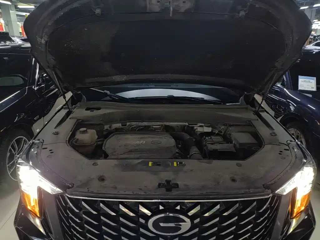 Photo 20 - GAC Trumpchi GS8
