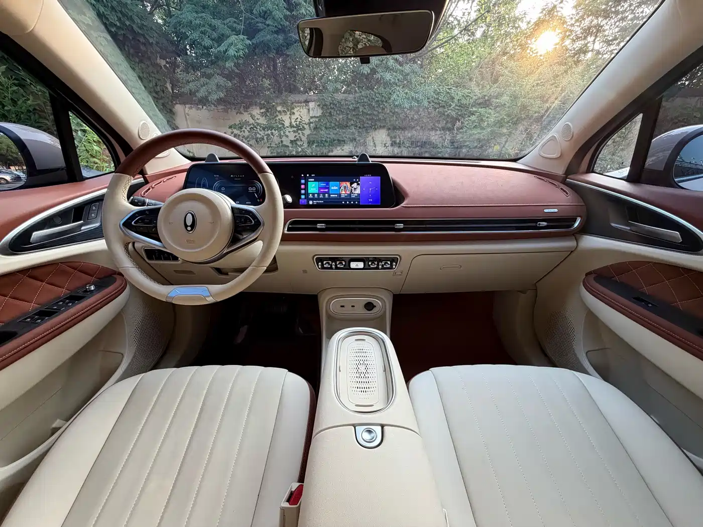 Ora Good Cat 2024 2023 401km Standard Range Luxury LFP