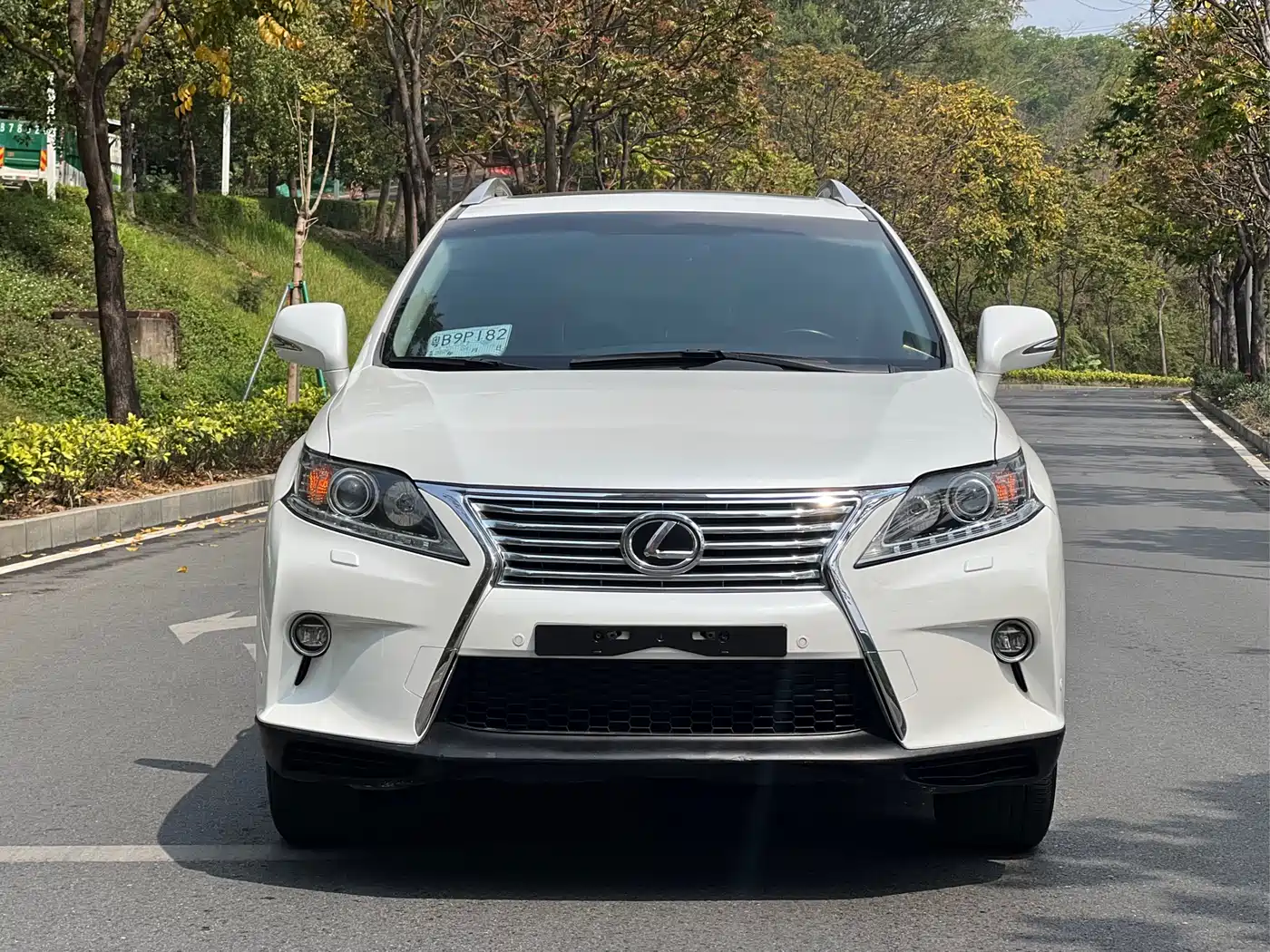 Lexus RX Classic 2013 270 Elite фото 2
