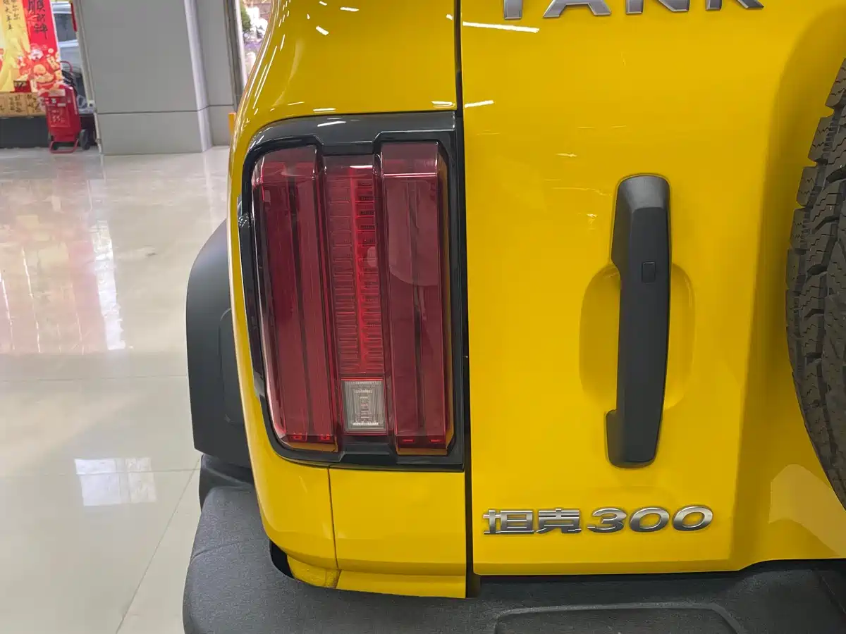 Tank 300 2022 2.0T Border Limited Edition фото 21