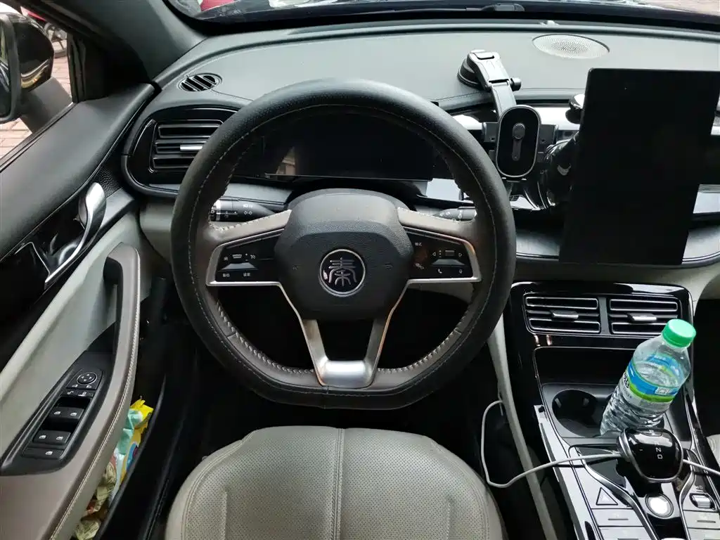BYD Qin PLUS 2023 Champion Edition DM-i 55KM Leading фото 3