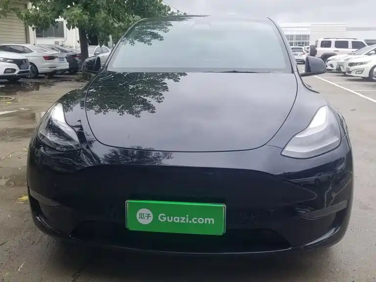Tesla Model Y 2021 2021 Standard Range Rear-Wheel Drive