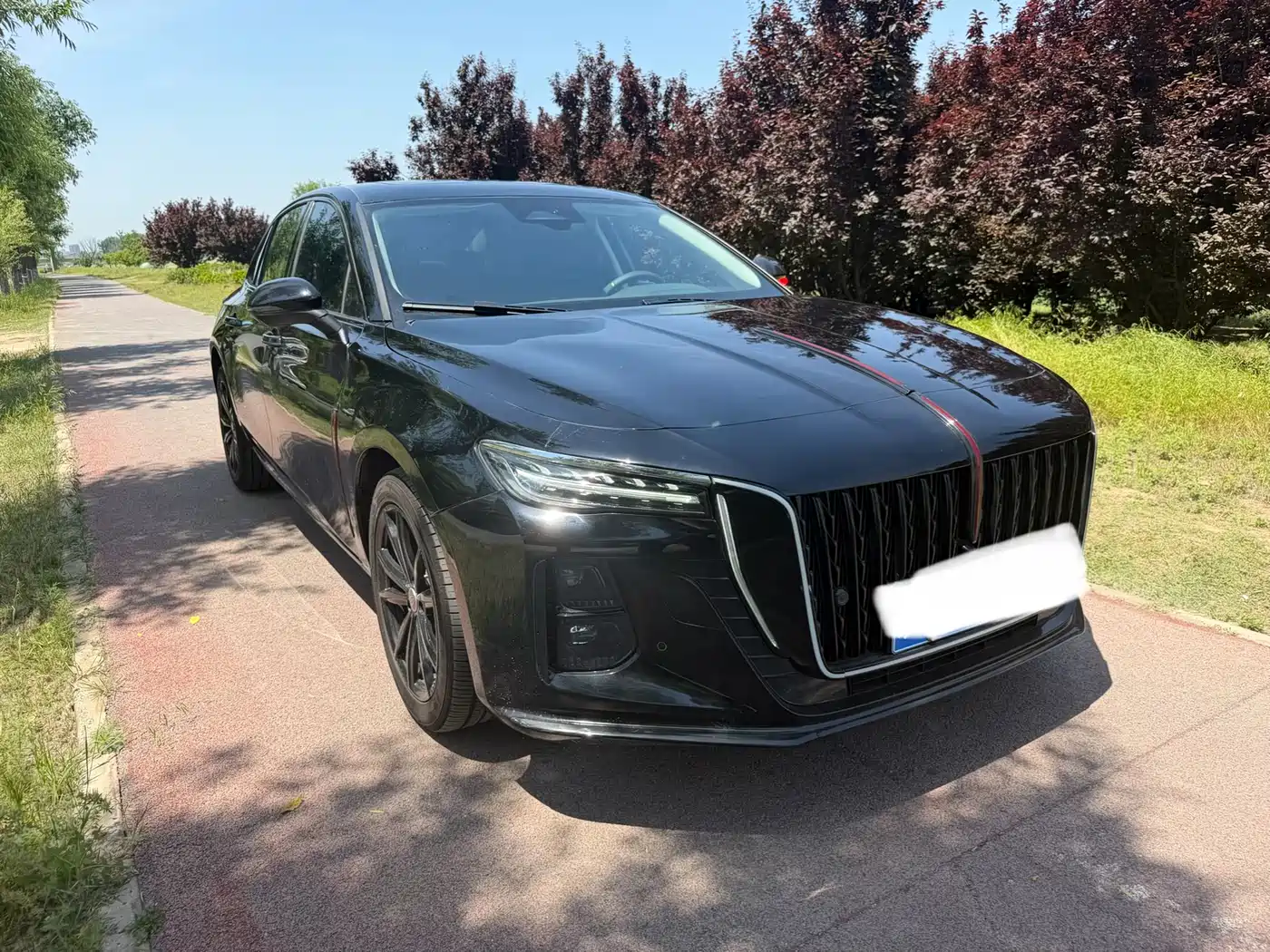 Hongqi H5 2025 2.0T Automatic Mystic Shadow фото 3