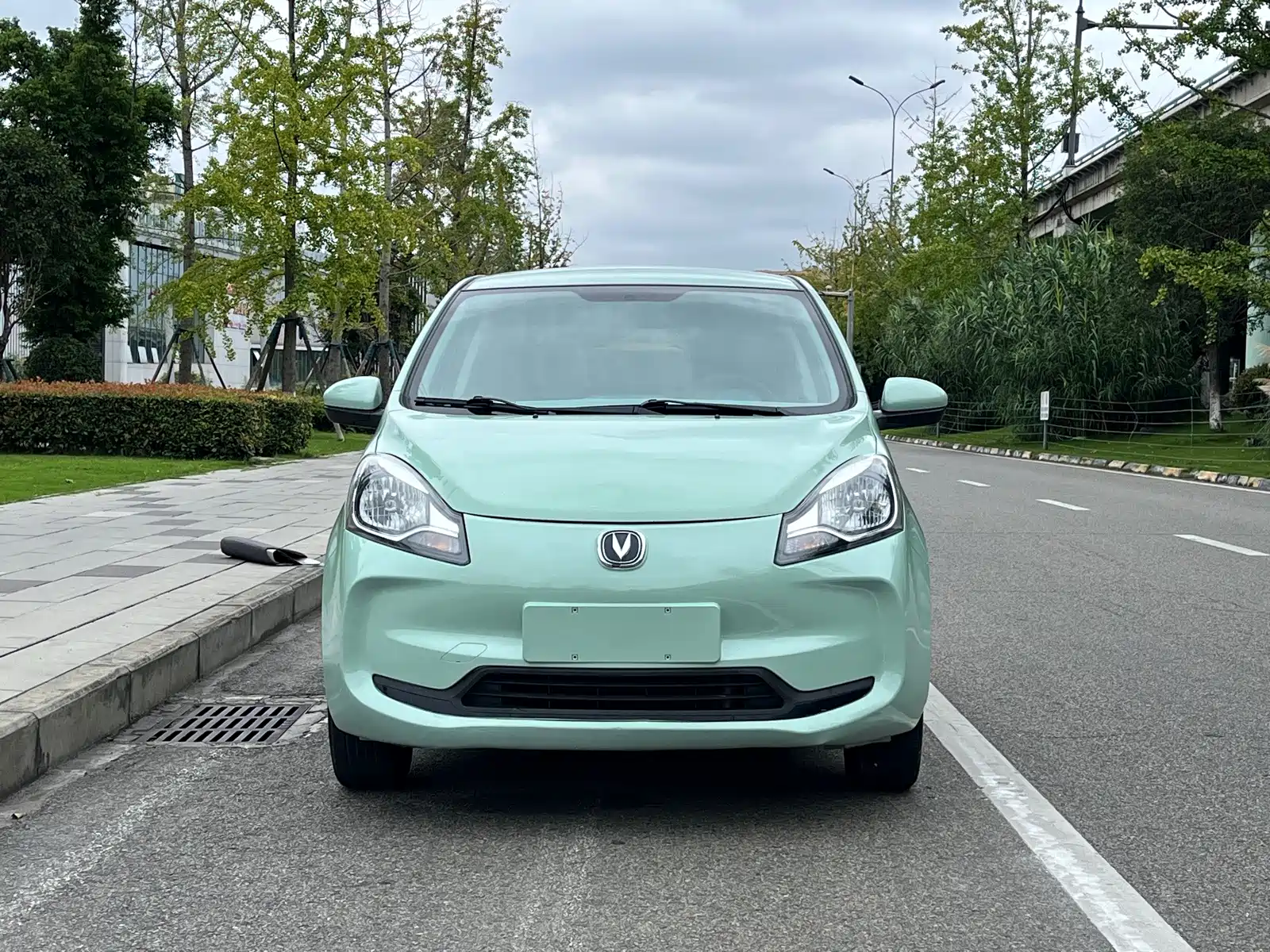 Фото 2 - Changan Benben E-Star