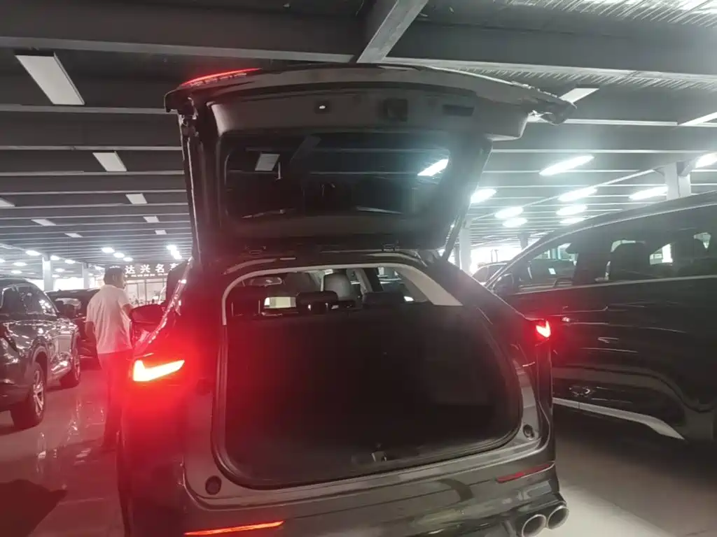 Changan Oshan Z6 2023 2022 Blue Whale 1.5T DCT Intelligent Leader