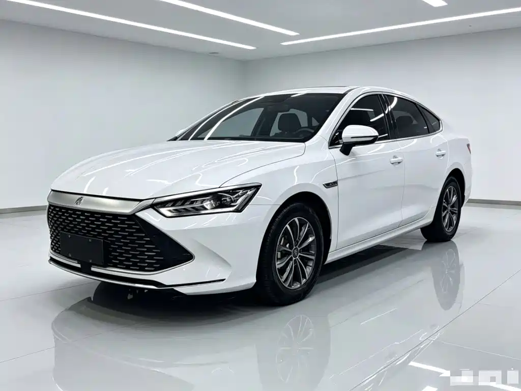 BYD Qin PLUS 2023 Champion Edition DM-i 55KM Leading
