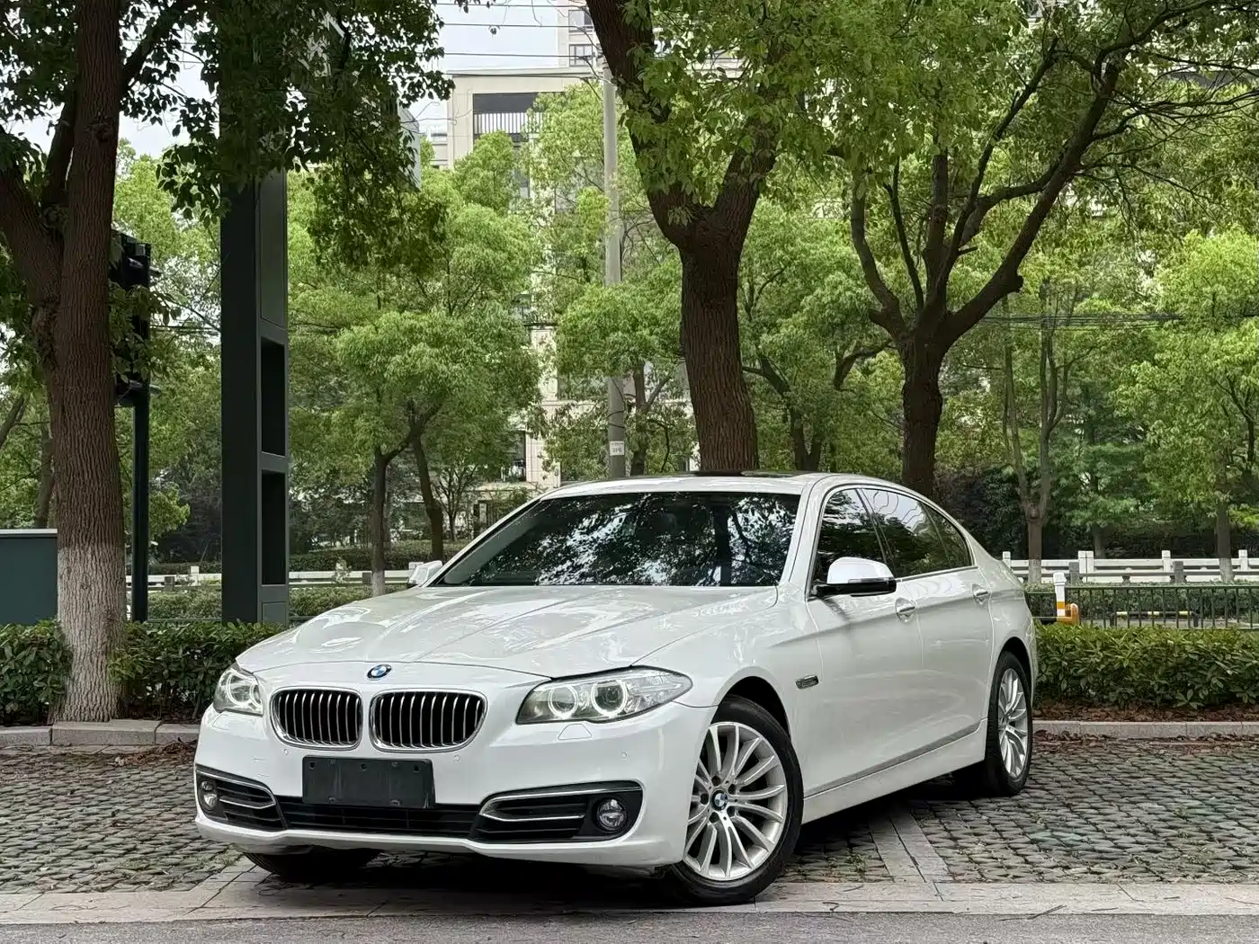 BMW 5 Series 525Li Luxury Design Package