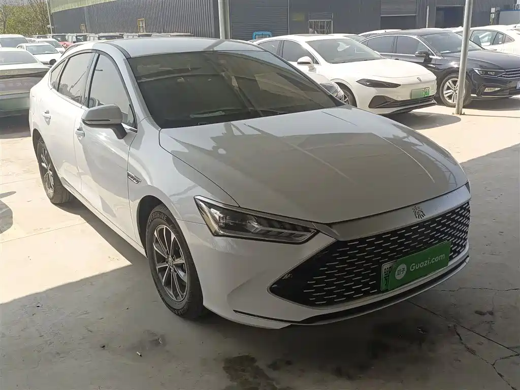 BYD Qin PLUS 2024 Glory Edition DM-i 55KM Leading фото 4