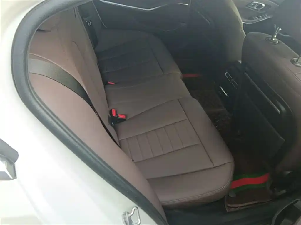 BMW 3 Series 2021 320Li M Sport Package фото 23