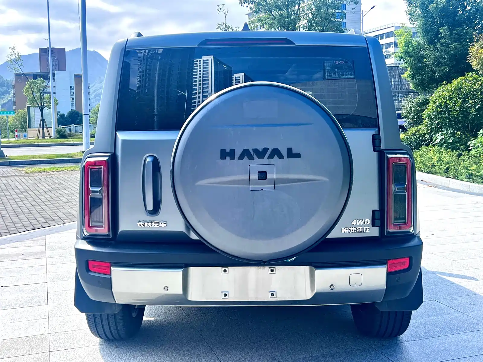 Фото 8 - Haval Menglong