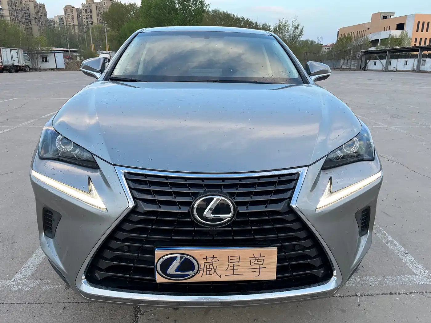 Lexus NX 2018 Model 300 FWD Fengxing Edition