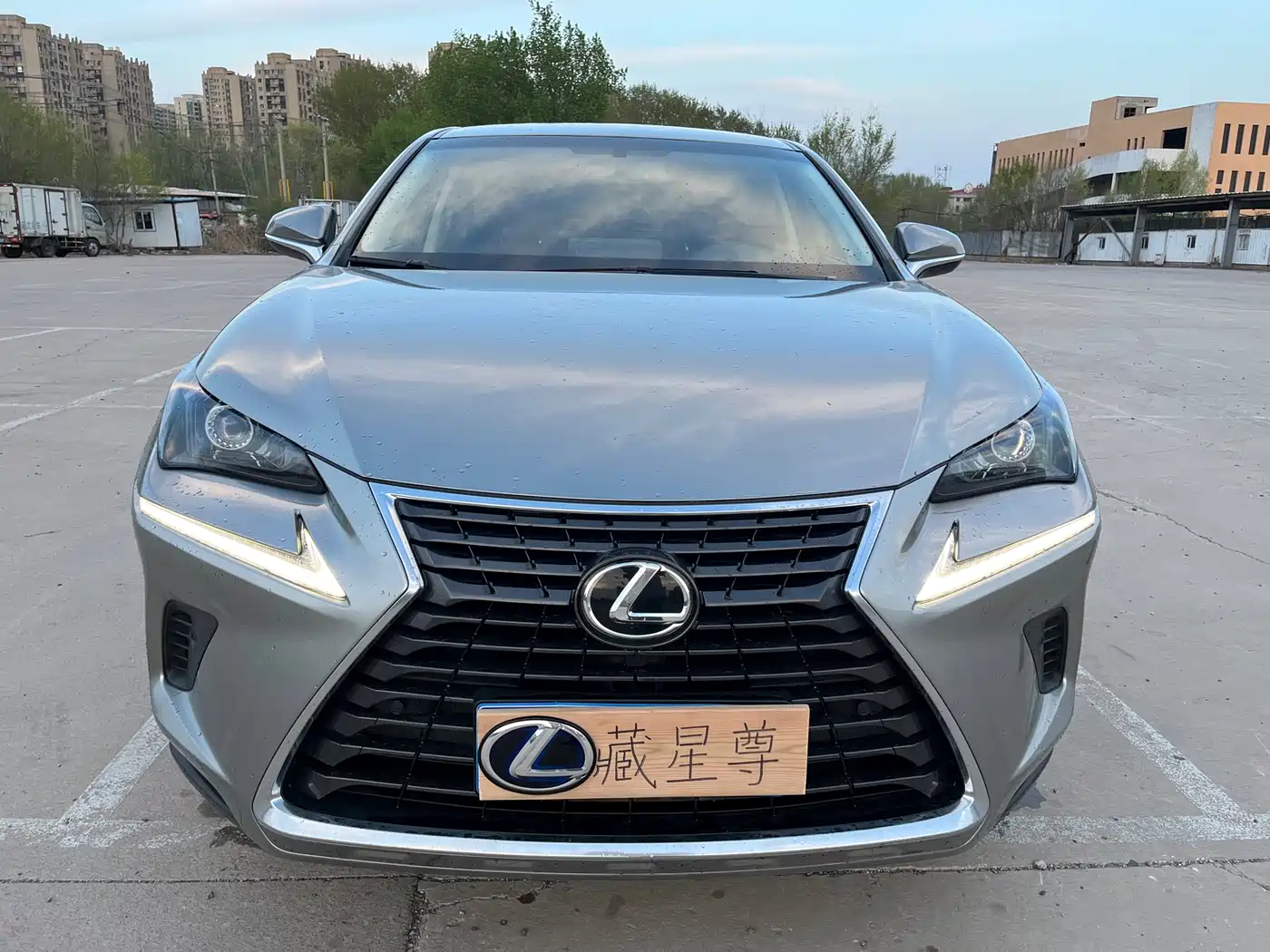 Lexus NX 2018 Model 300 FWD Fengxing Edition фото 3