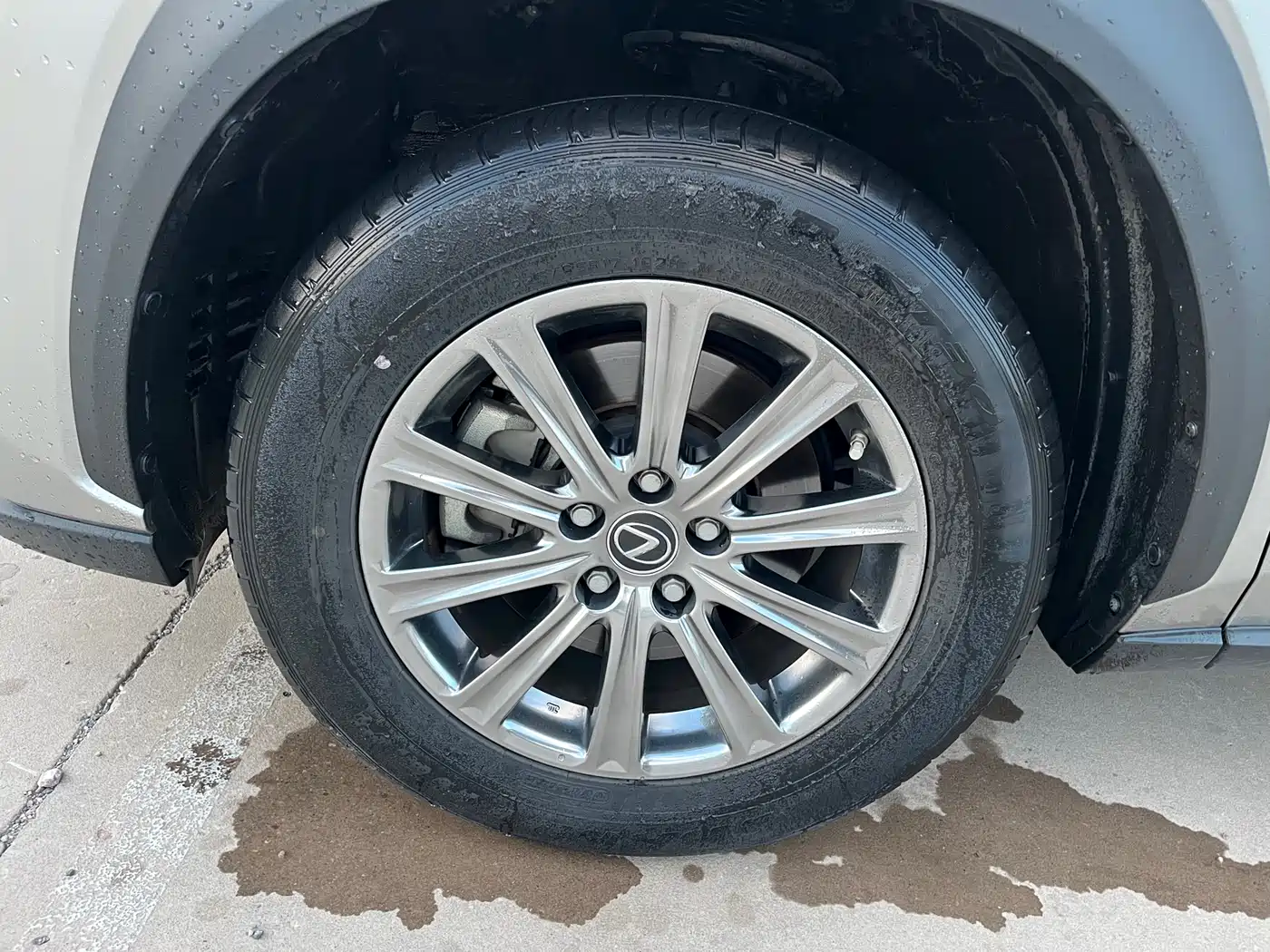 Lexus NX 2018 Model 300 FWD Fengxing Edition фото 32