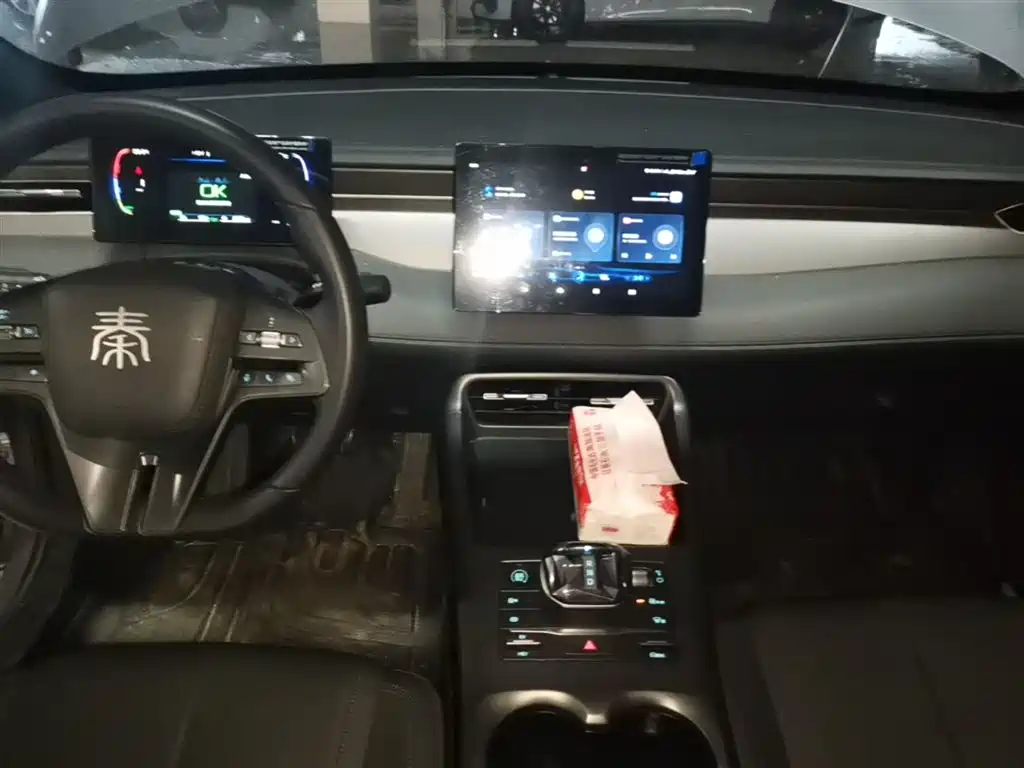 BYD Qin PLUS 2025 DM-i Smart Drive 55KM Leader фото 13