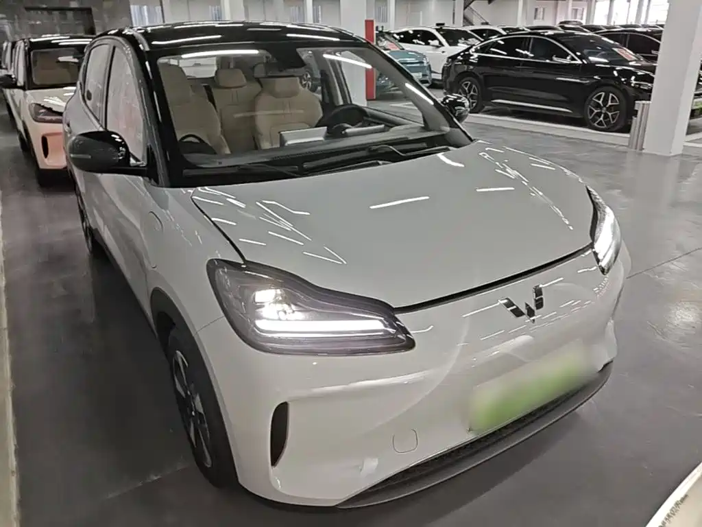 Wuling Motors Wuling Binguo PLUS 2026 2024 510km Range 5-seater