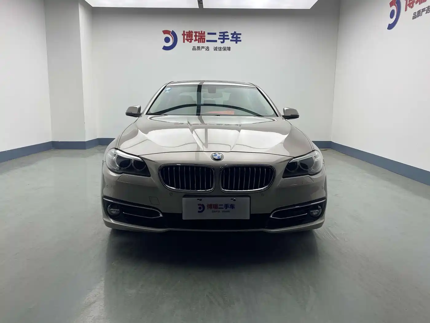 BMW 5 Series 2014 525Li Luxury Design Package фото 2