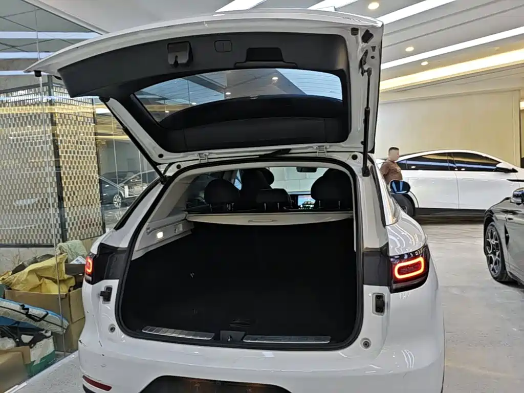 Leapmotor C11 2021 2021 Luxury Edition