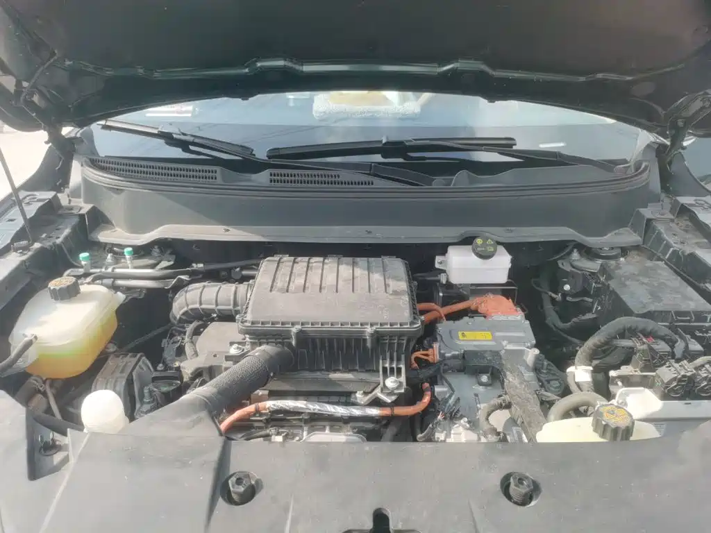 Landian E5 PLUS 2024 2025 165km Long Range Pro (5-Seater)