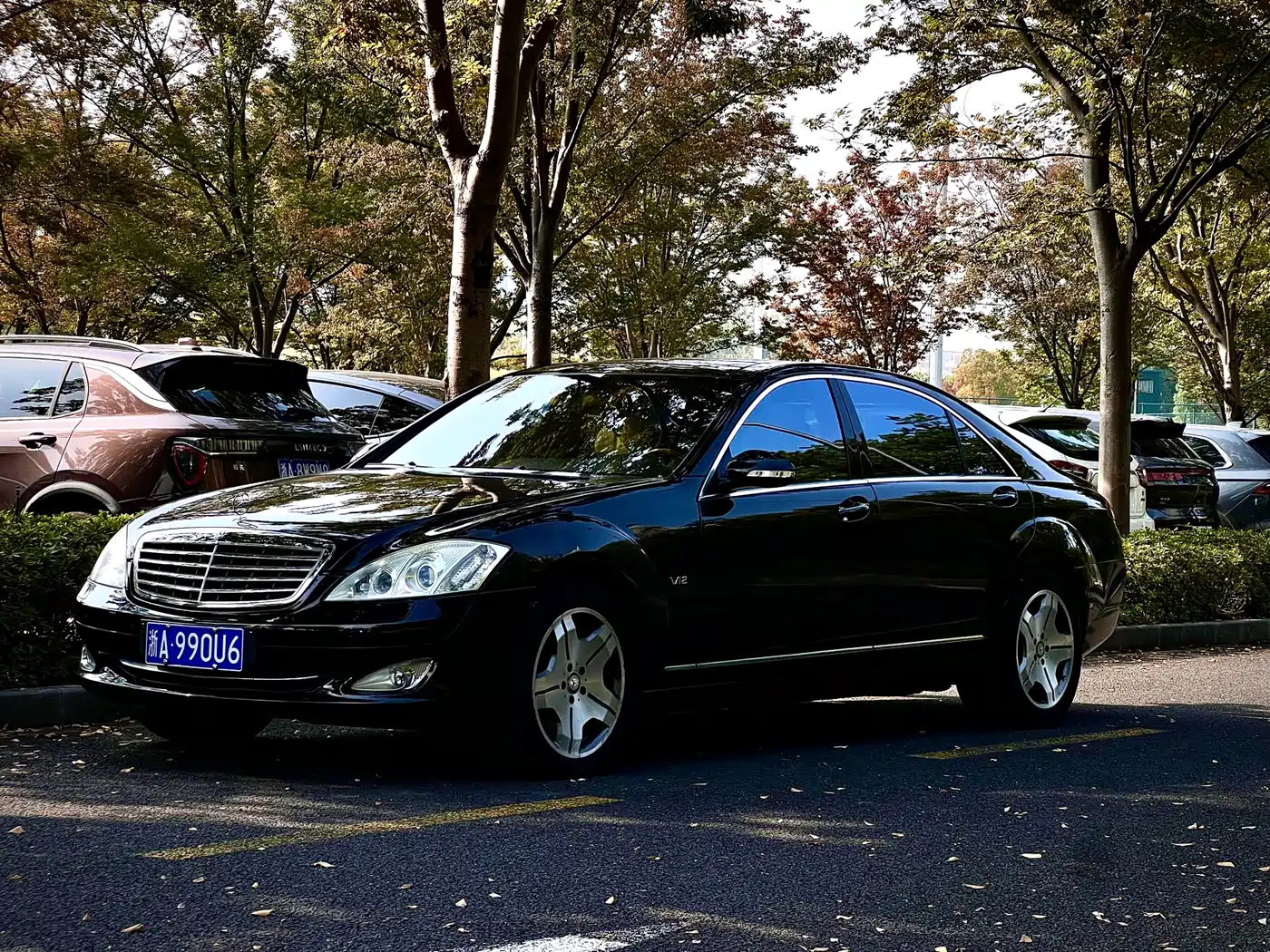 Mercedes-Benz S-Class 2008 Model S 600 L фото 5