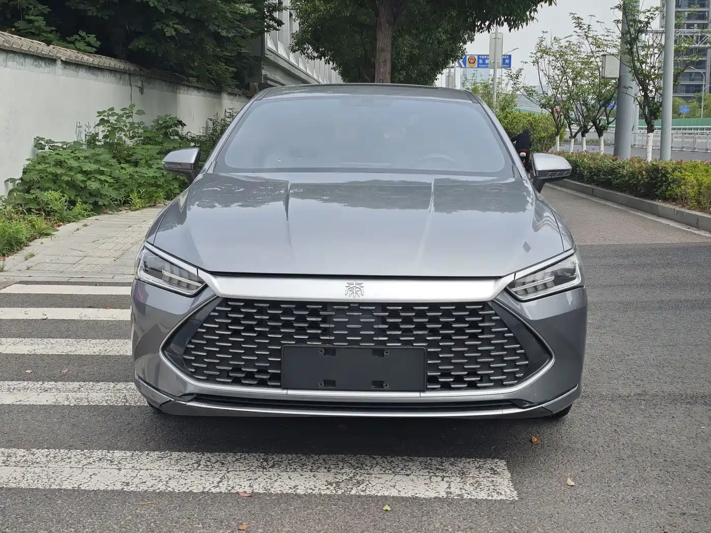 BYD Qin PLUS 2023 Champion Edition DM-i 120KM Leading Type фото 2
