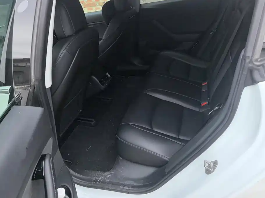Tesla Model 3 (Import) 2020 2019 Long Range All-Wheel Drive Edition