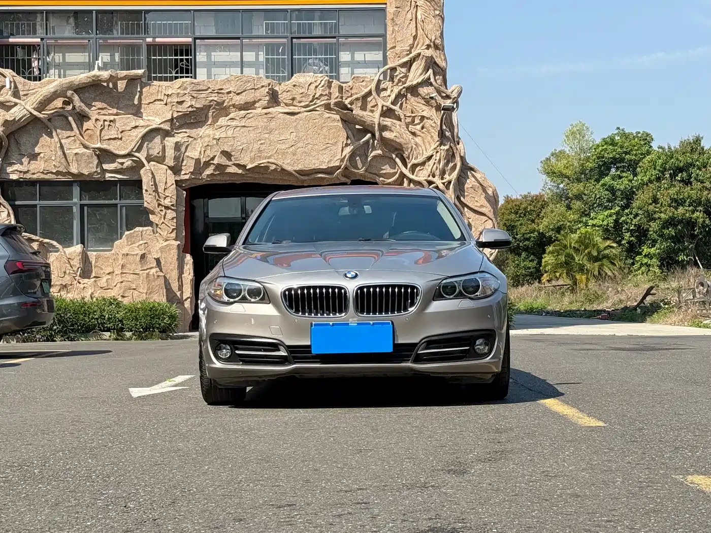 BMW 5 Series 2014 520Li Elegance фото 2