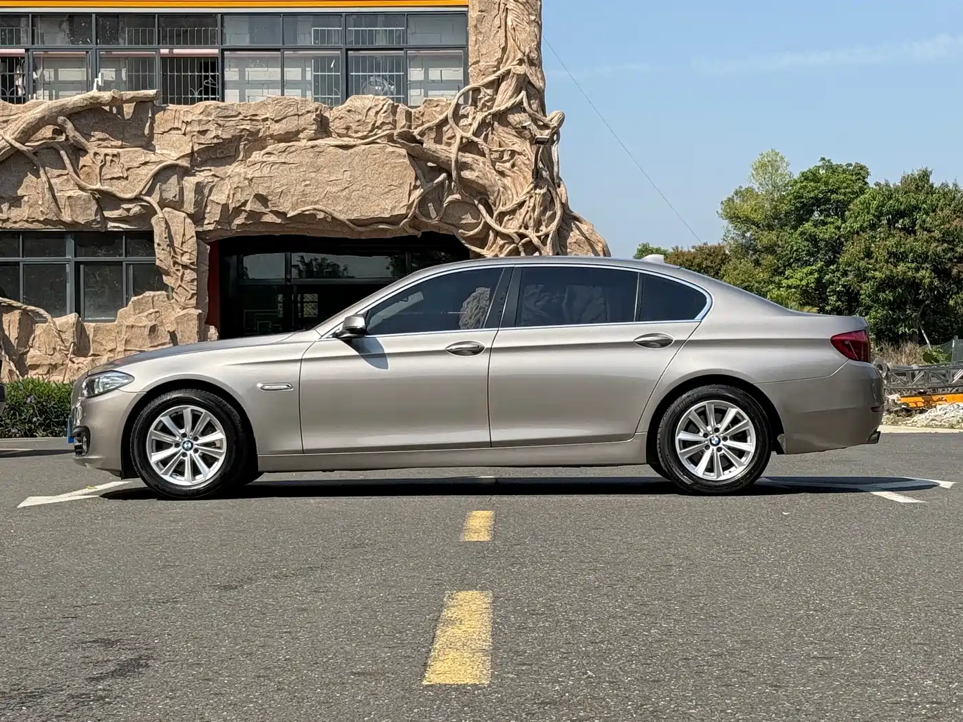 BMW 5 Series 2014 520Li Elegance фото 5