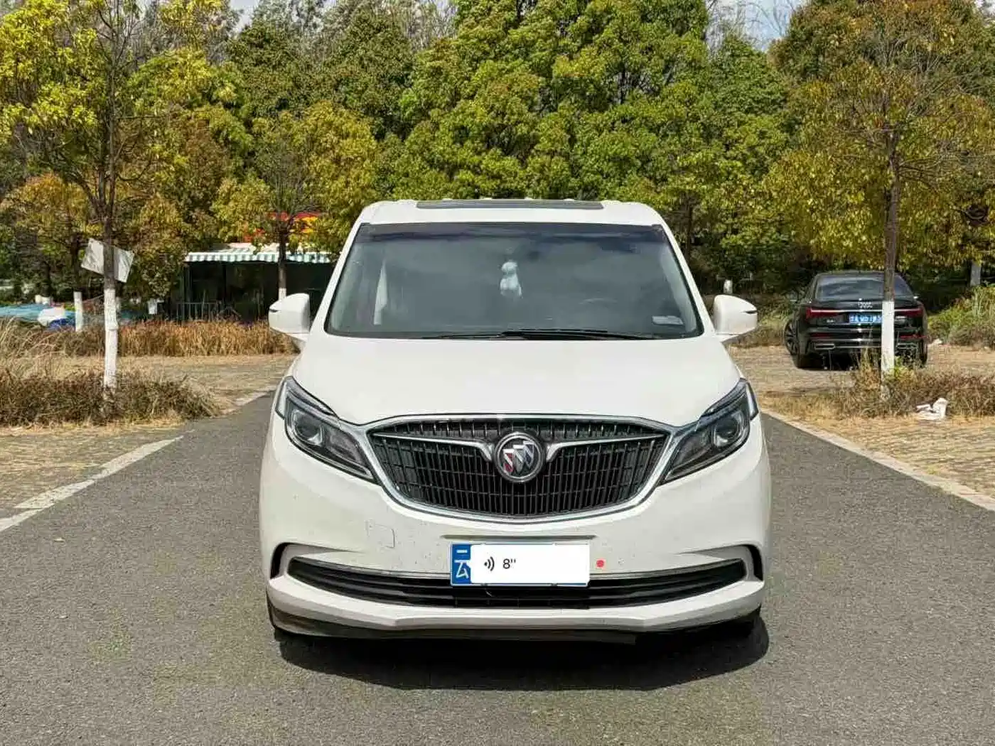 Buick GL8 2017 ES 28T Comfort Type China V фото 2