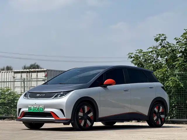 BYD Dolphin 401km, Knight