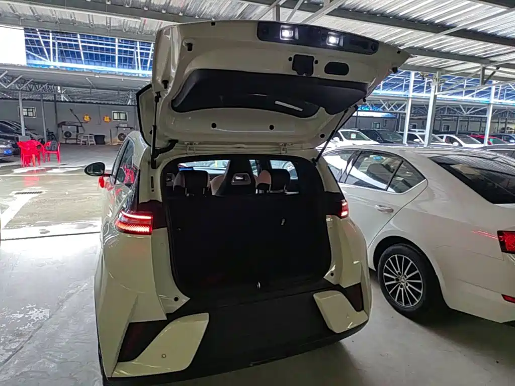 BYD Seagull 2026 2025 Smart Drive Edition 305km Vitality Version