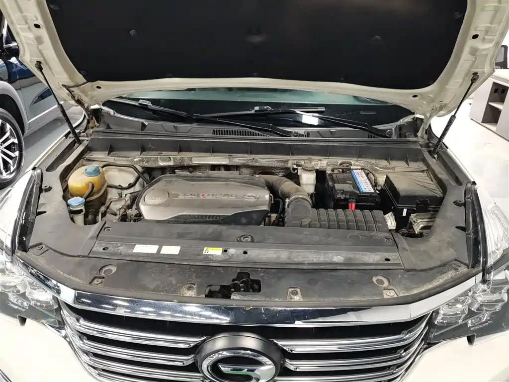 GAC Trumpchi Trumpchi GS8 2017 320T 2WD Luxury Smart Connect (7-seater) фото 20
