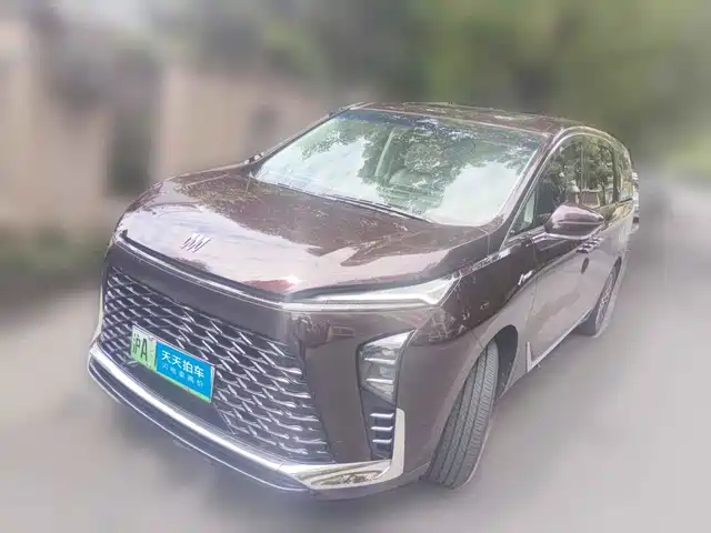  Buick Buick GL8 New Energy 2024 Landglory Smart Enjoy Edition 7-Seater