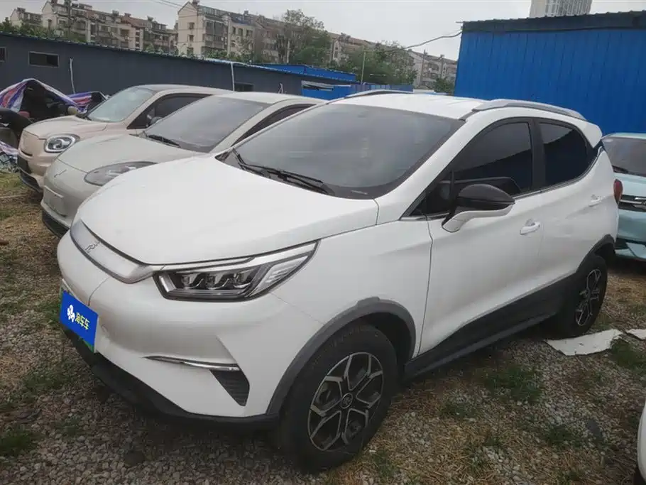 BYD Yuan Pro 2021 401KM Luxury Model