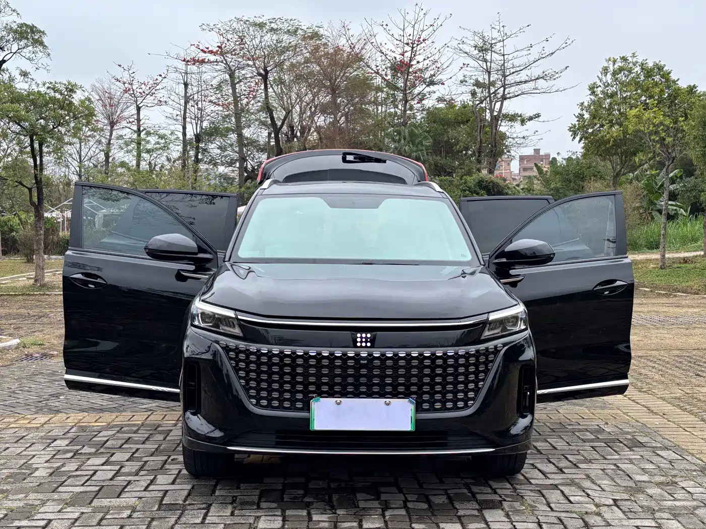 Landian E5 2024 2024 Glory Edition 100KM Comfort Type 7-Seater