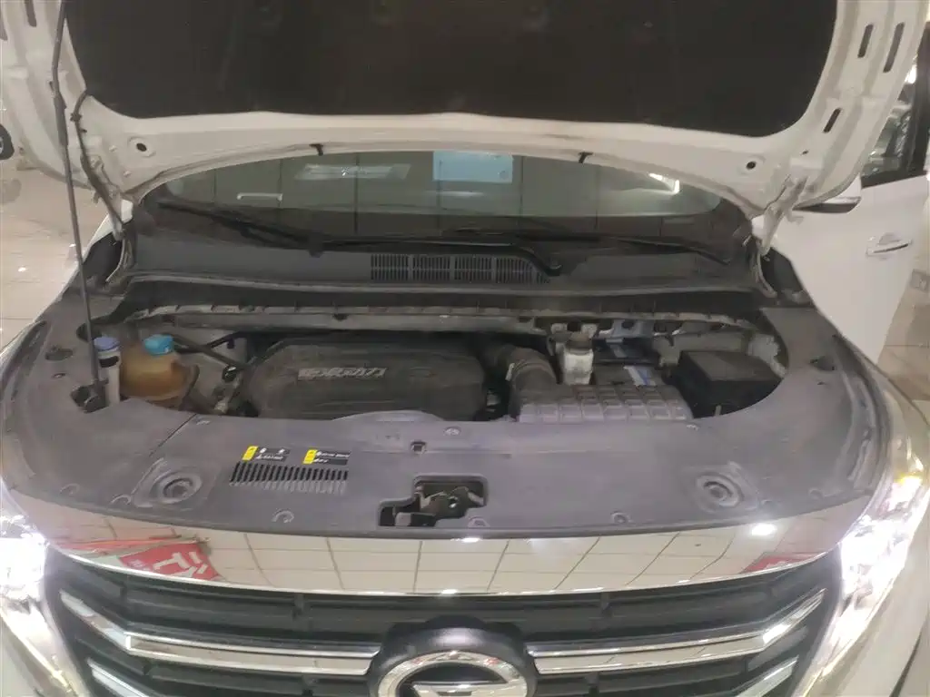 GAC Trumpchi Trumpchi M8 2021 Leading Show Series 390T Premium Edition фото 16