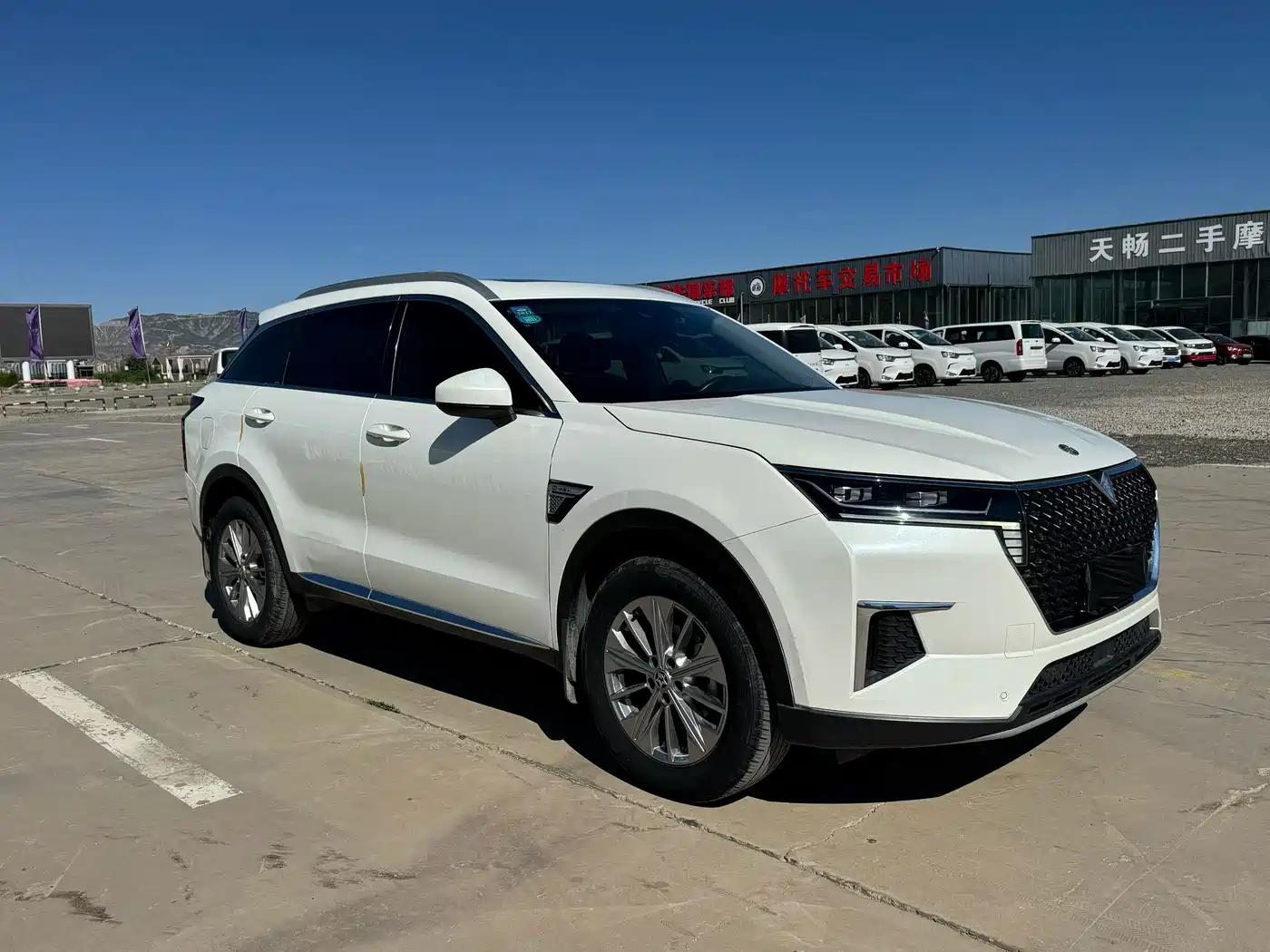 Venucia Star 2020 2020 260T Automatic 48V Mild Hybrid Turbo Star Enjoy Edition
